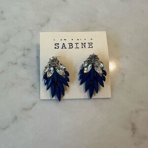 Sabine Gap Navy and Silver Leaf Crystal Earrings